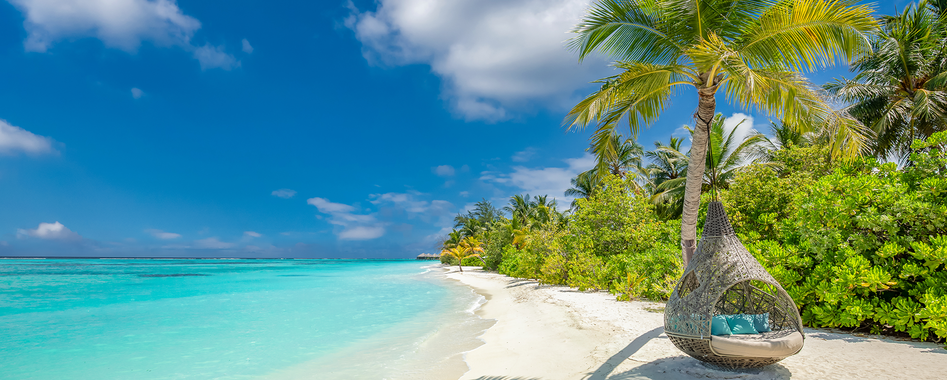 Exploring the untamed beauty of Dominica